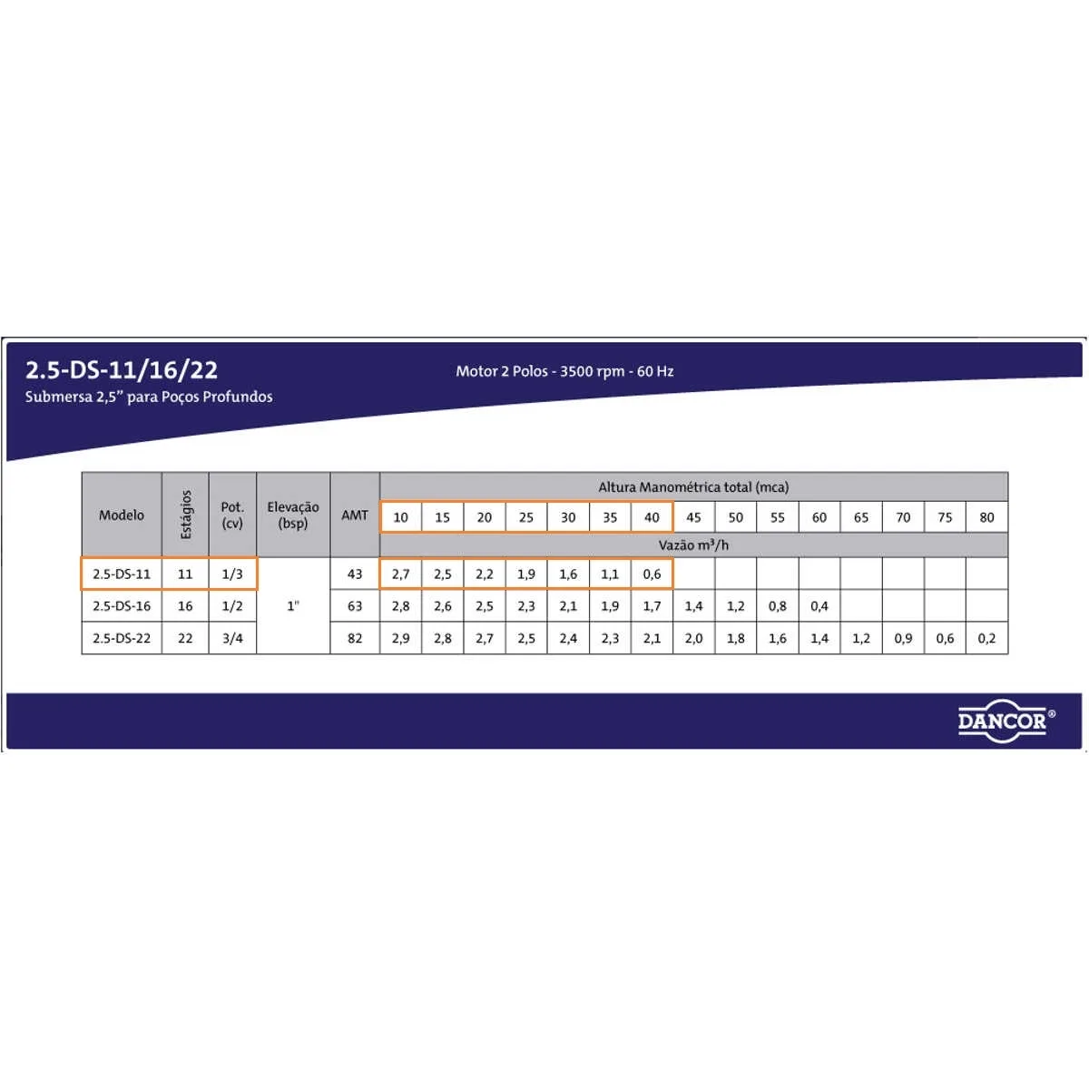 Bomba Submersa Dancor 2,5 Ds-11 1/3 Cv Monofásica 110v com Control Box