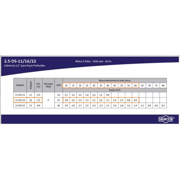 Bomba Submersa Dancor 2,5 Ds-16 1/2 Cv Monofásica 110v com Control Box