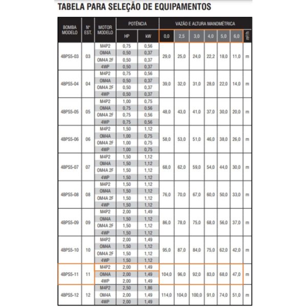 Bomba Submersa Ebara 4BPS5I-11 2 CV Monofásica 220V