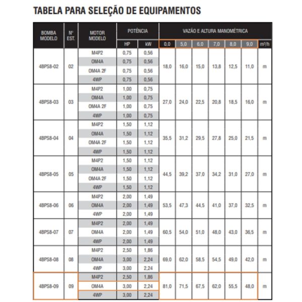 Bomba Submersa Ebara 4BPS8I-9 3 CV Monofásica 220V