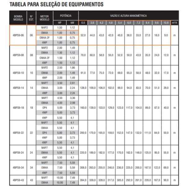 Bomba Submersa Ebara 4BPS9I-6 1 CV Monofásica 220V