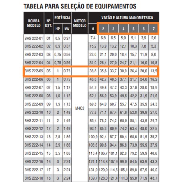 Bomba Submersa Ebara BHS 222-05 1,5 CV M4C2 Trifásica 380V