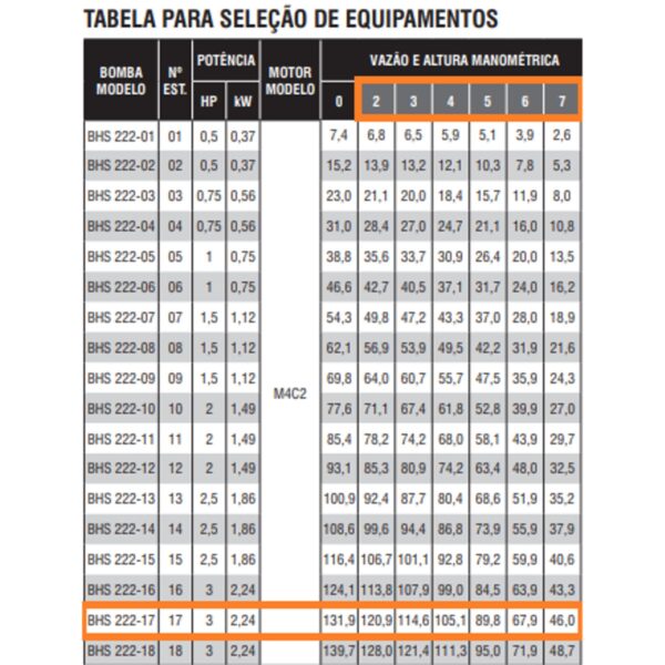 Bomba Submersa Ebara BHS 232-17 5 CV  M4A Trifásica 380V