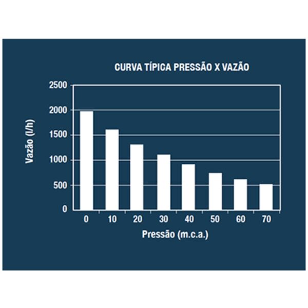 Bomba Submersa Lorenzetti Bsl-800 Monofásica 110v