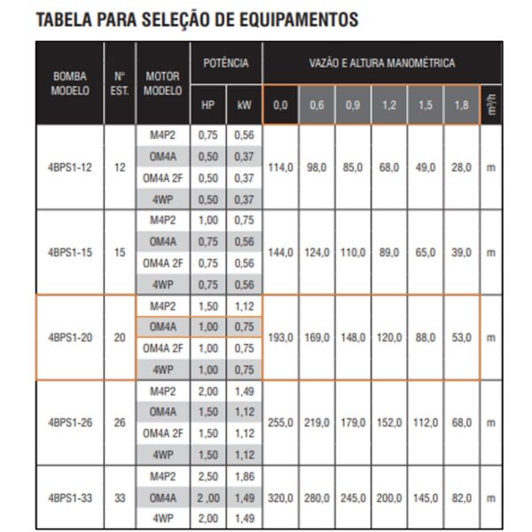 Bomba Submersa Para Poço Artesiano Ebara 4bps1i-20 Om4 1 CV Monofásica 220V