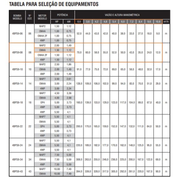 Bomba Submersa Para Poço Artesiano Ebara 4bps9i-08 Om4 1,5 CV Trifásica 220V